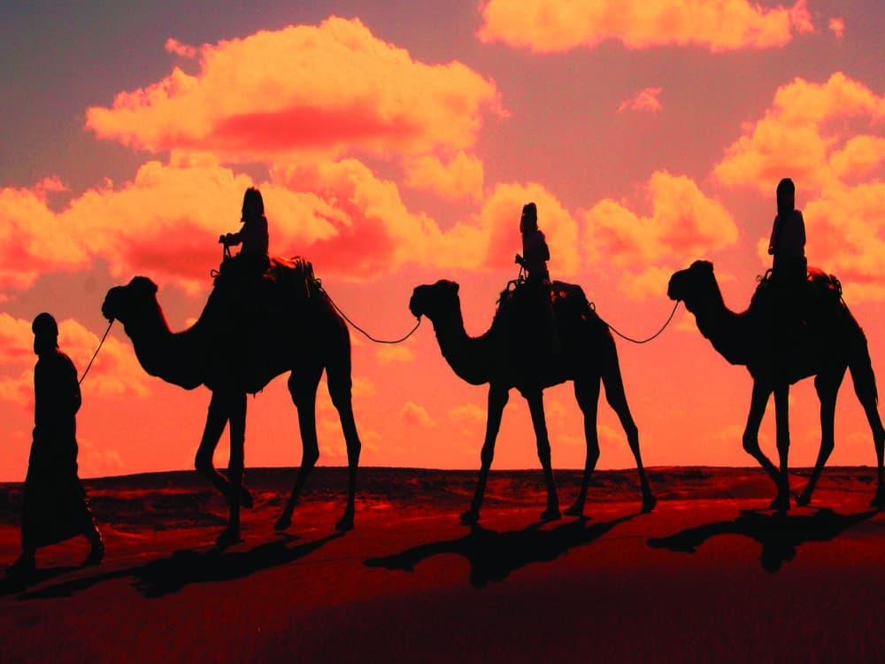 Agafay Desert: Sunset Camel Ride & Moroccan Dinner with Pool | ®ExcursionMania - Image 5