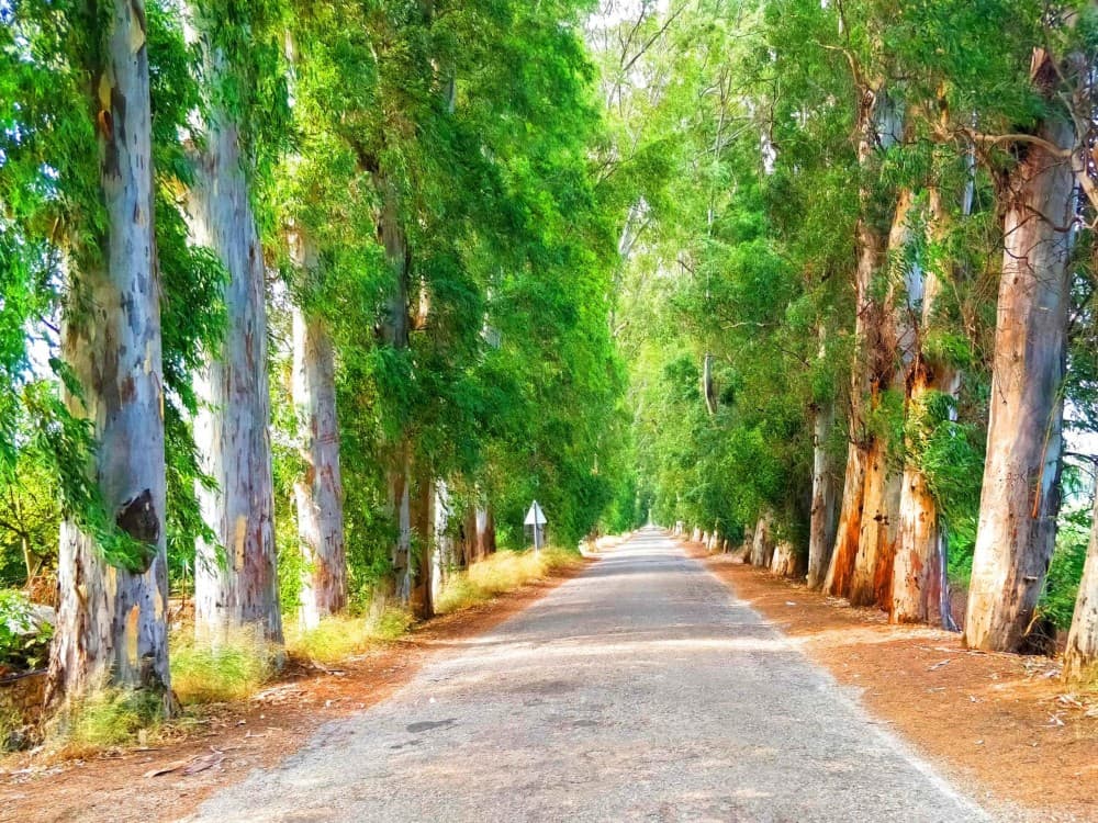 Marmaris: Yuvarlakçay & Akyaka River Cruise with Lunch | ®ExcursionMania - Image 5