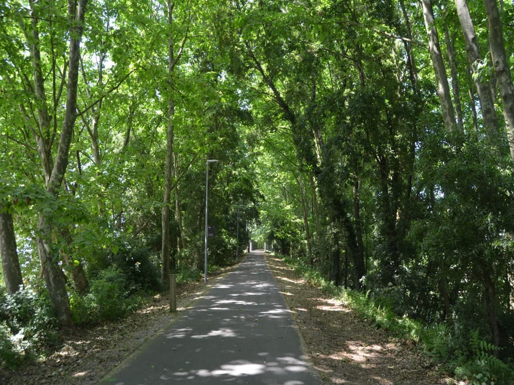 Marmaris: Yuvarlakçay & Akyaka River Cruise with Lunch | ®ExcursionMania - Image 4