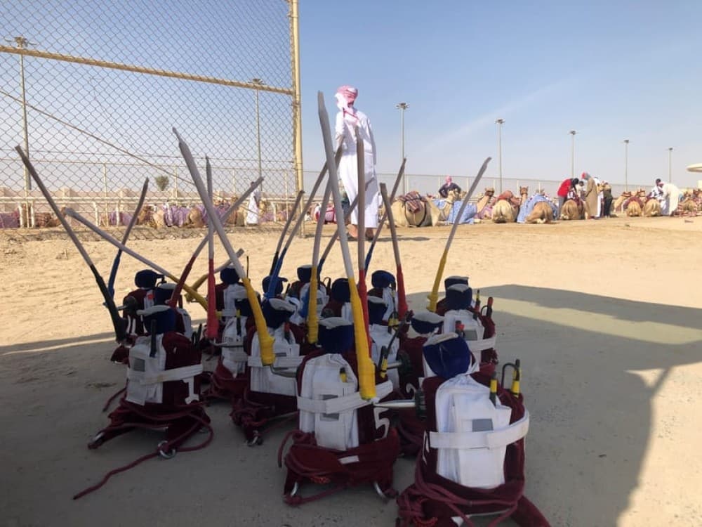 Doha Camel Racing Track: Oryx Farm & Sheikh Faisal Museum | ®ExcursionMania - Image 4