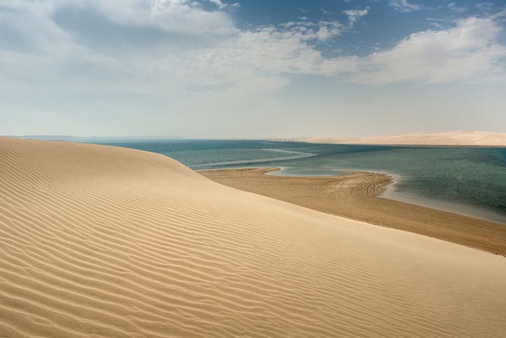 Doha Desert Safari & City Highlights: Experience Private Adventure | ®ExcursionMania - Image 11