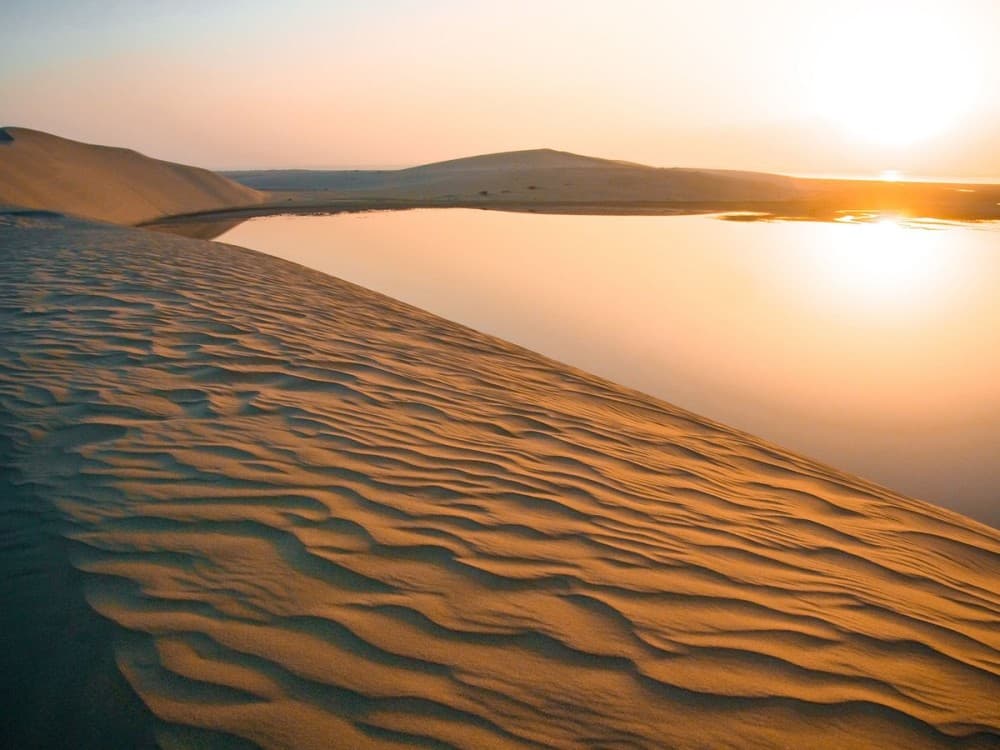 Doha Desert Safari & City Highlights: Experience Private Adventure | ®ExcursionMania - Image 4
