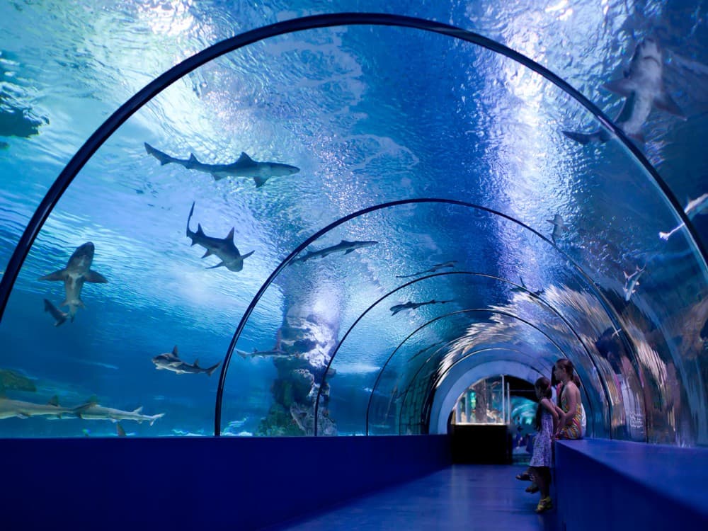 Aquarium & Face2Face Wax Museum from Antalya | ®ExcursionMania - Image 3