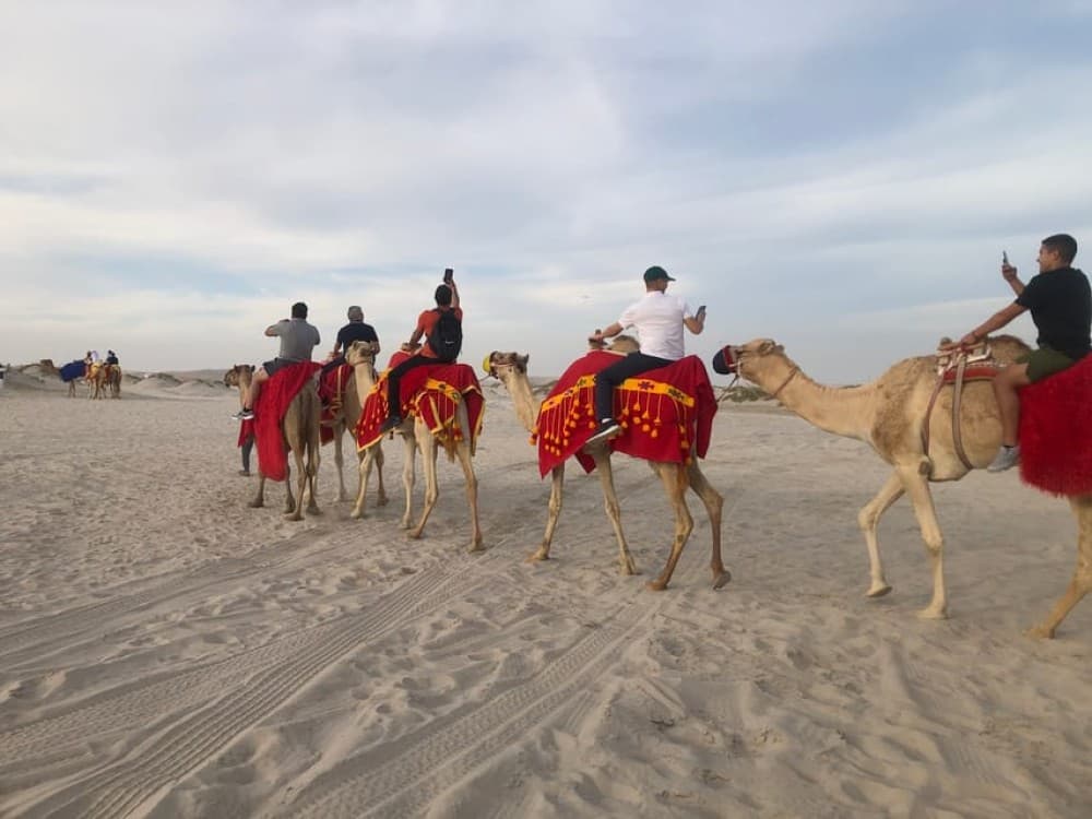 Doha Activities: Desert Safari Dune Bashing & Inland Sea | ®ExcursionMania - Image 7