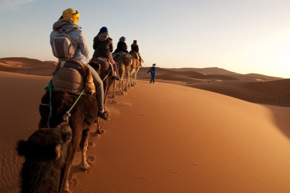 Marrakech Sunrise: Camel Ride and Breakfast in the Desert | ®ExcursionMania - Image 3
