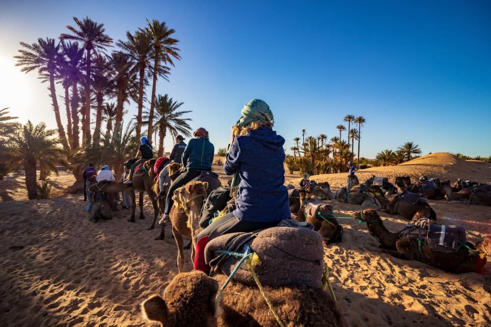 Marrakech Sunrise: Camel Ride and Breakfast in the Desert | ®ExcursionMania - Image 6