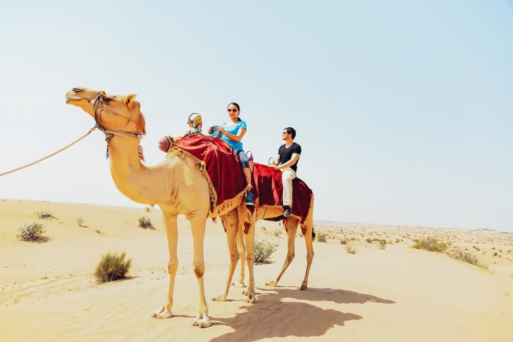 Doha: Sunset Desert Safari with Camel Ride and Sandboarding | ®ExcursionMania - Image 7