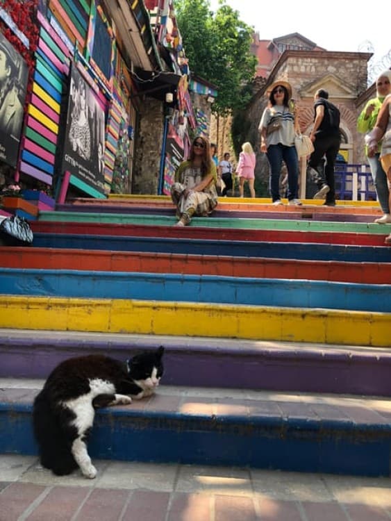 Istanbul: Fener Balat Old Greek and Jewish Quarter Tour | ®ExcursionMania - Image 12