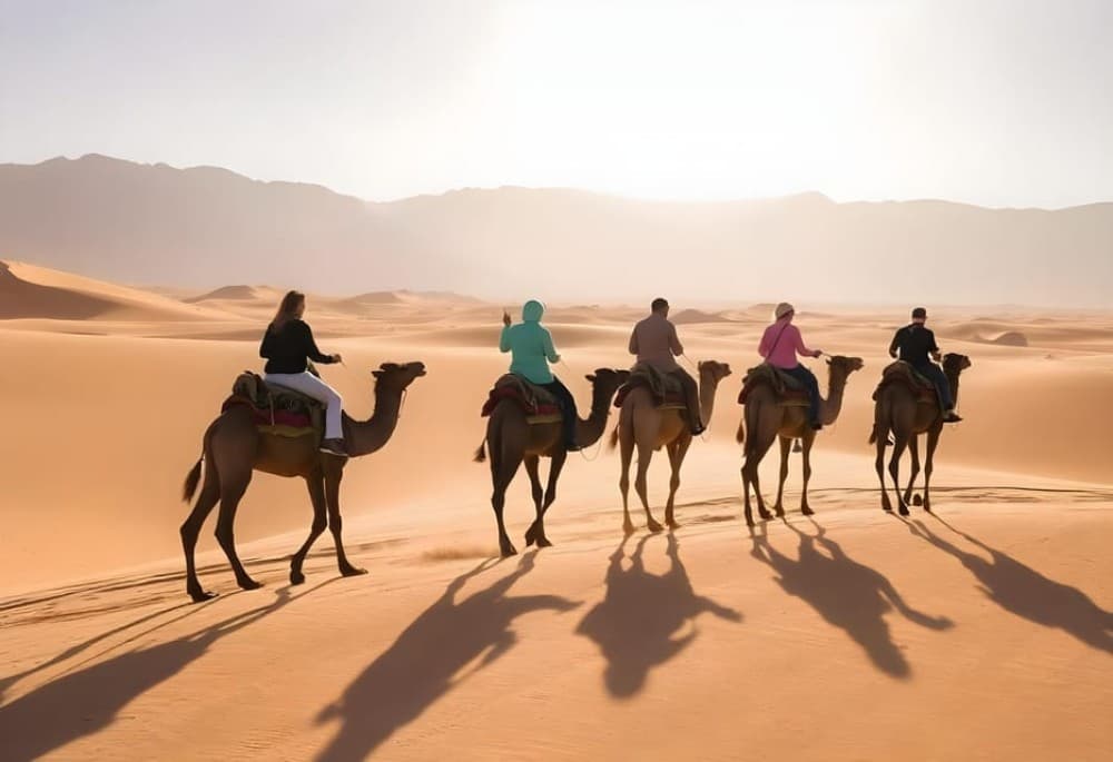 Hurghada: Stargazing with Candlelight Dinner with Quad | ®ExcursionMania - Image 8