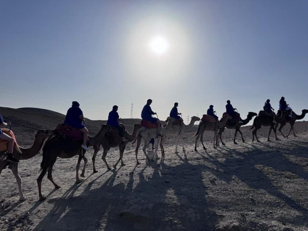 Experience Marrakech Desert: Quad Biking with Tea & Dinner | ®ExcursionMania - Image 8