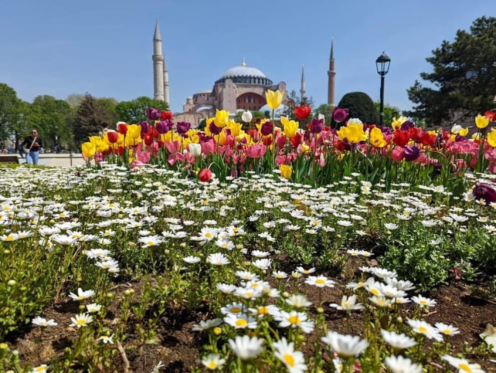 Istanbul's Gems: Blue Mosque Basilica Cistern and Grand Bazaar Tour | ®ExcursionMania - Image 12