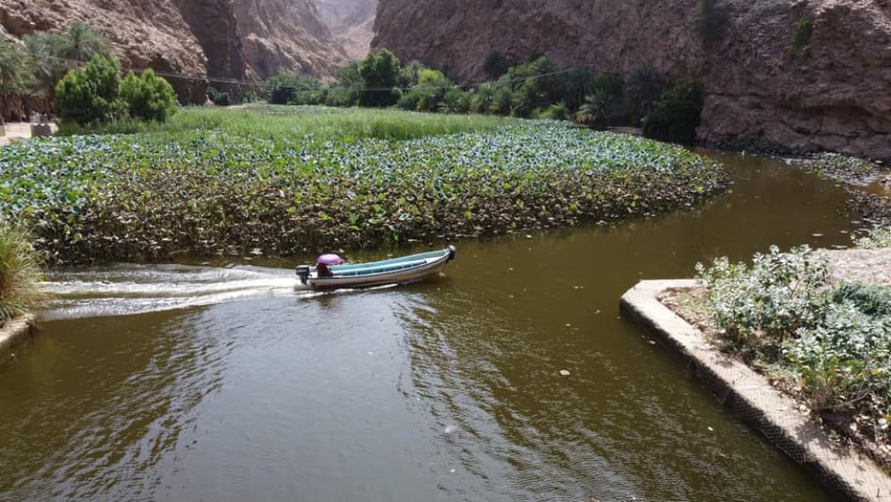 From Muscat: Wadi Shab  Bimmah Sinkhole Full-Day Tour | ®ExcursionMania - Image 3