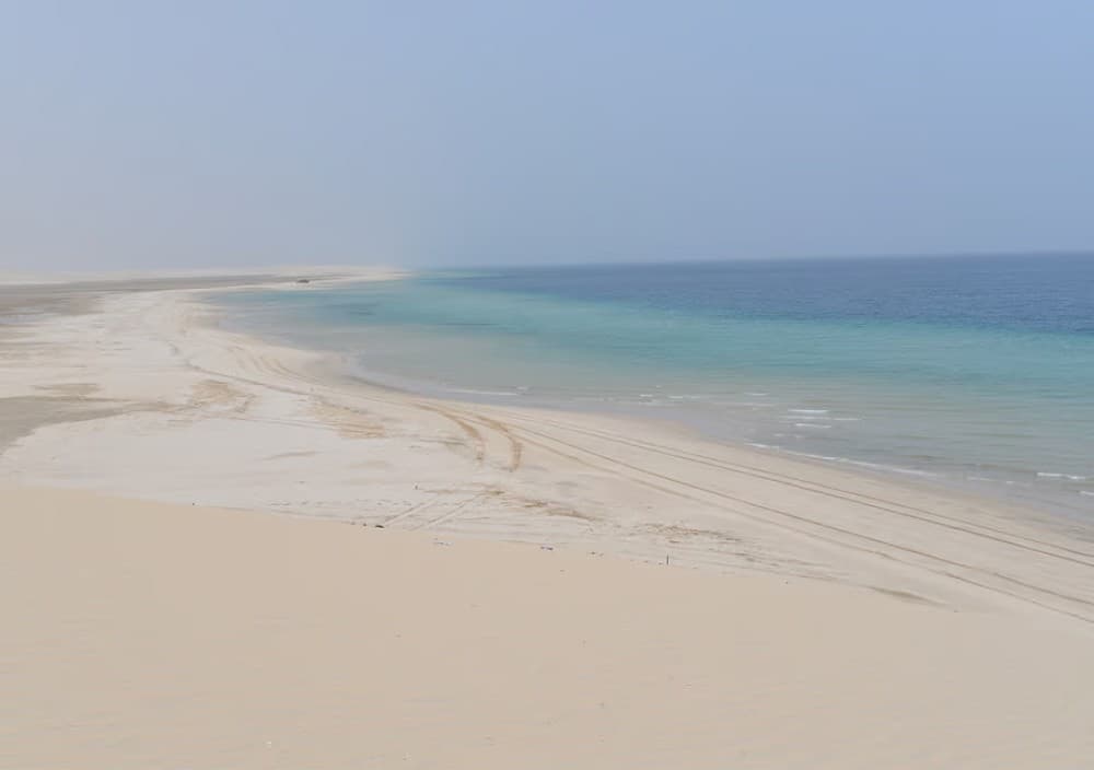 Doha: Desert Tour Camels Sand Surfing  Falcon Experience | ®ExcursionMania - Image 4