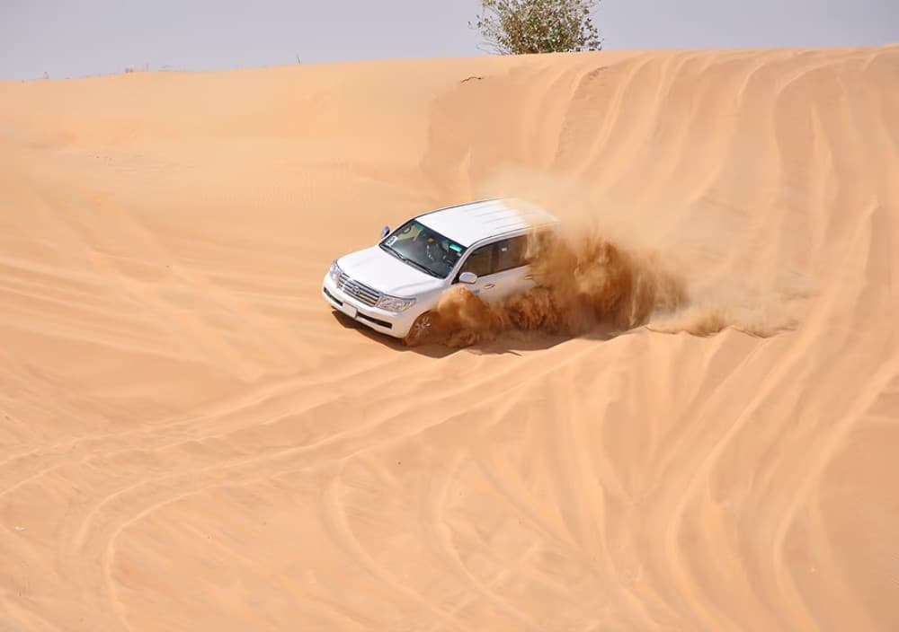 Doha: Desert Tour Camels Sand Surfing  Falcon Experience | ®ExcursionMania - Image 7