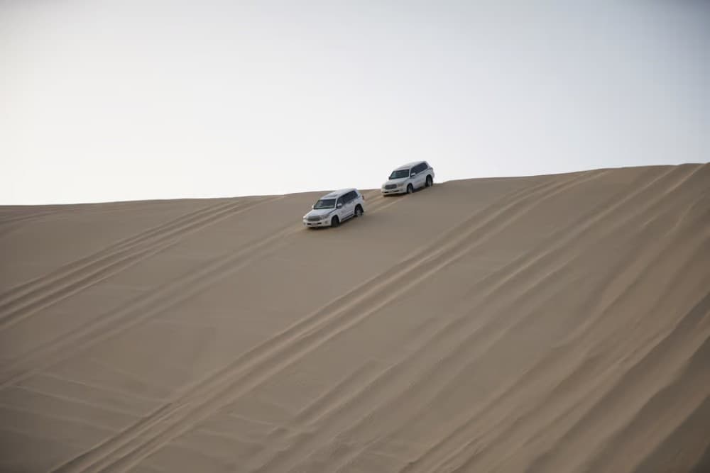 Doha: Desert Tour Camels Sand Surfing  Falcon Experience | ®ExcursionMania - Image 2