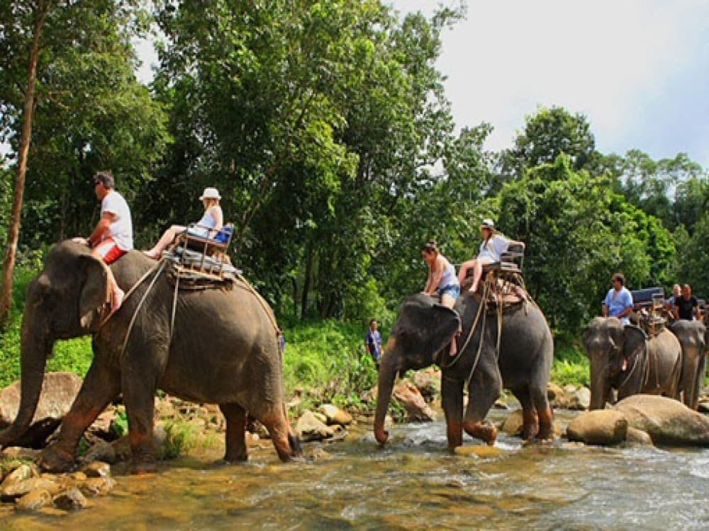 Ton Pariwat Wildlife Sanctuary
