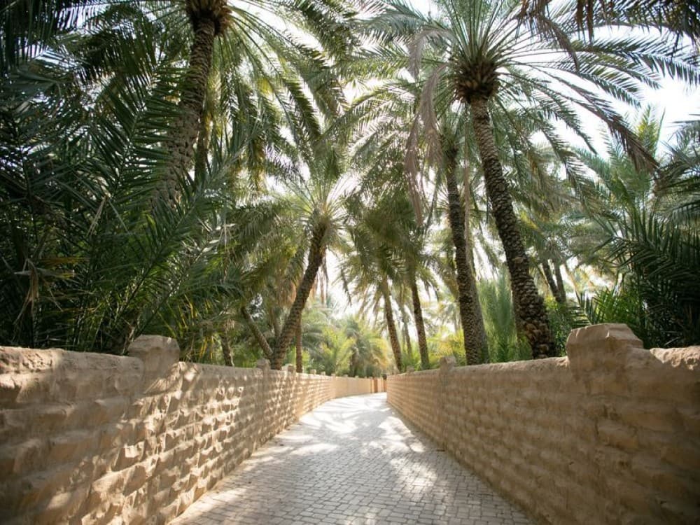 Al Ain Oasis