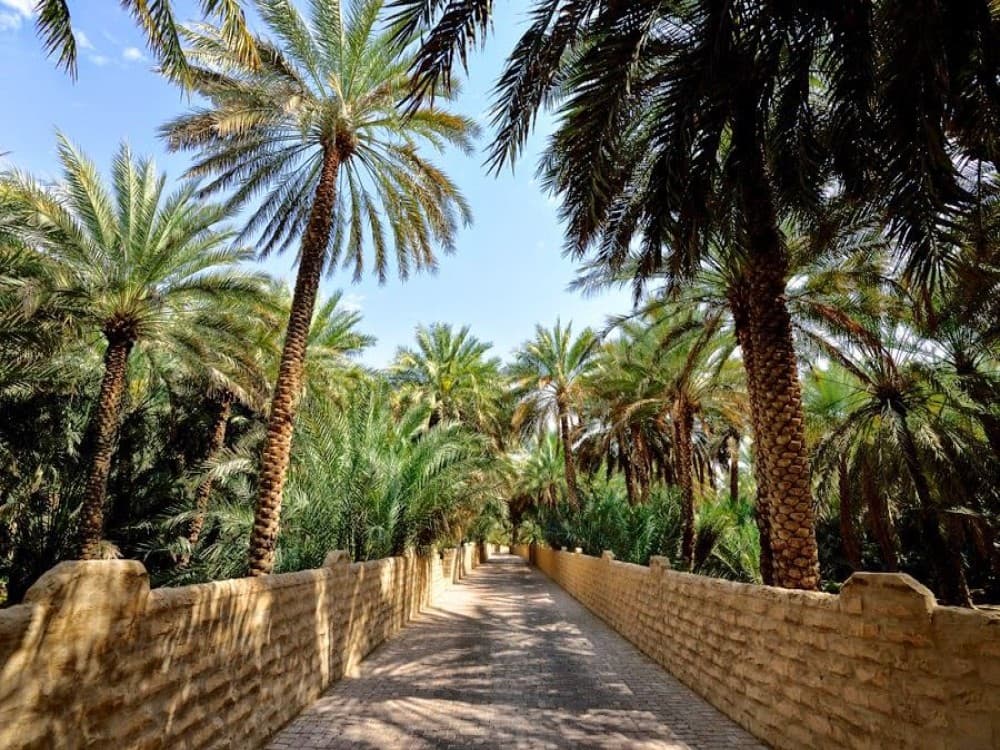 Al Ain Oasis