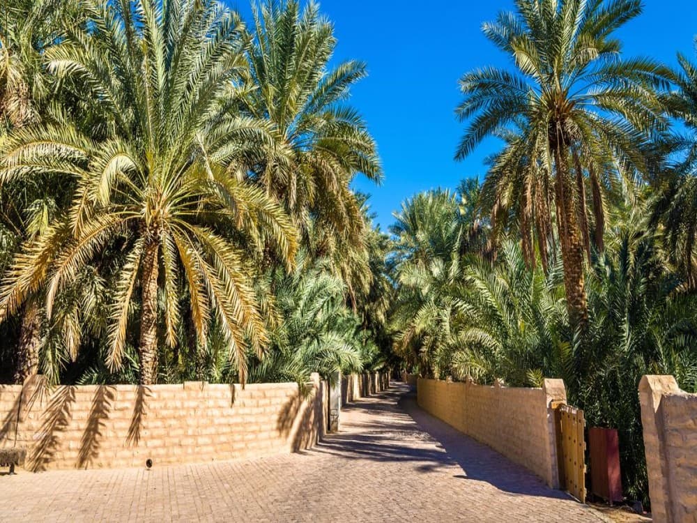 Al Ain Oasis
