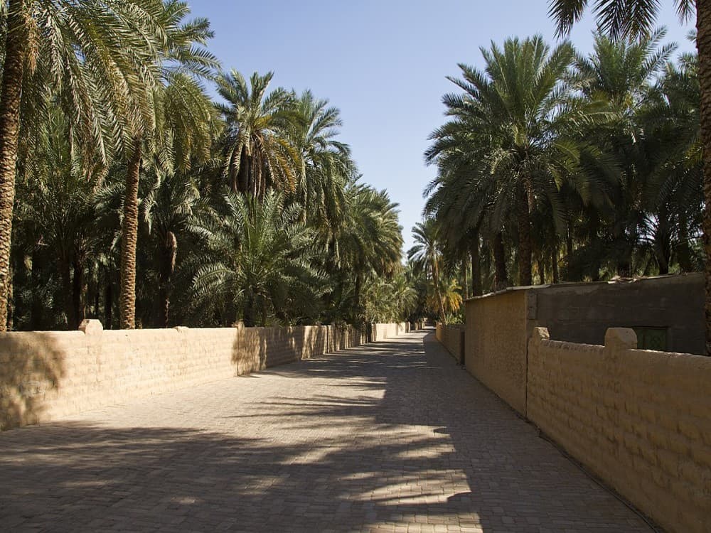 Al Ain Oasis