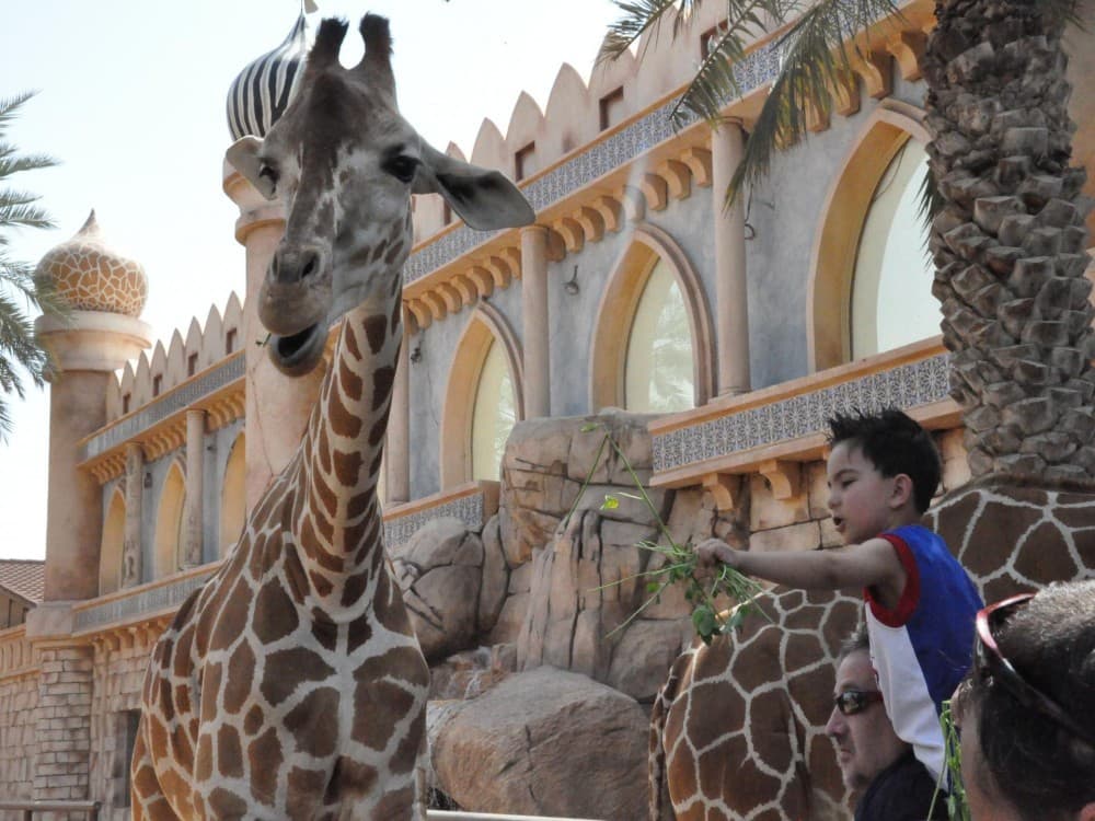 Emirates Park Zoo