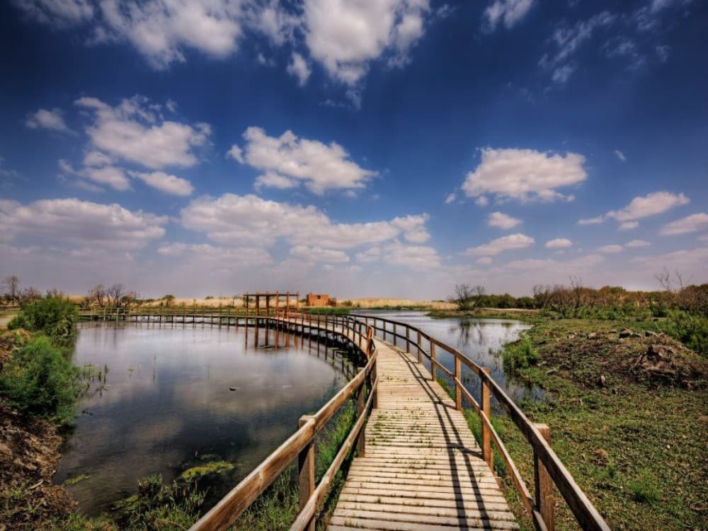 Azraq Wetland Reserve