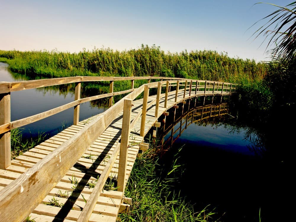 Azraq Wetland Reserve