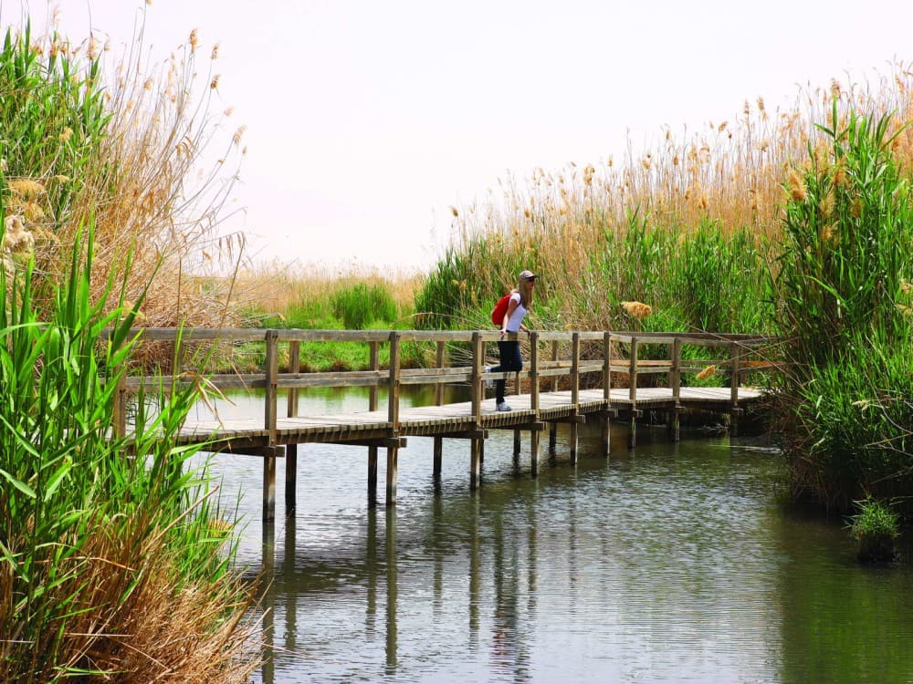 Amman: Azraq Wetland Reserve | ®ExcursionMania