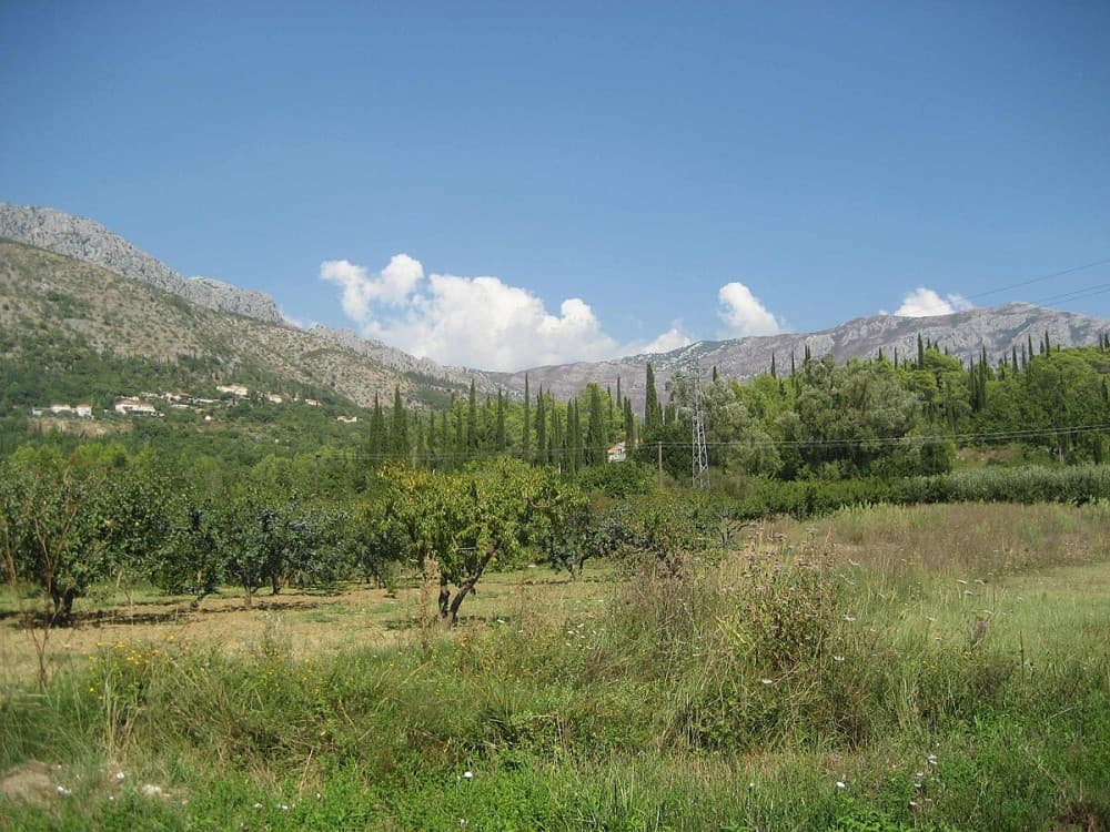 Konavle Valley