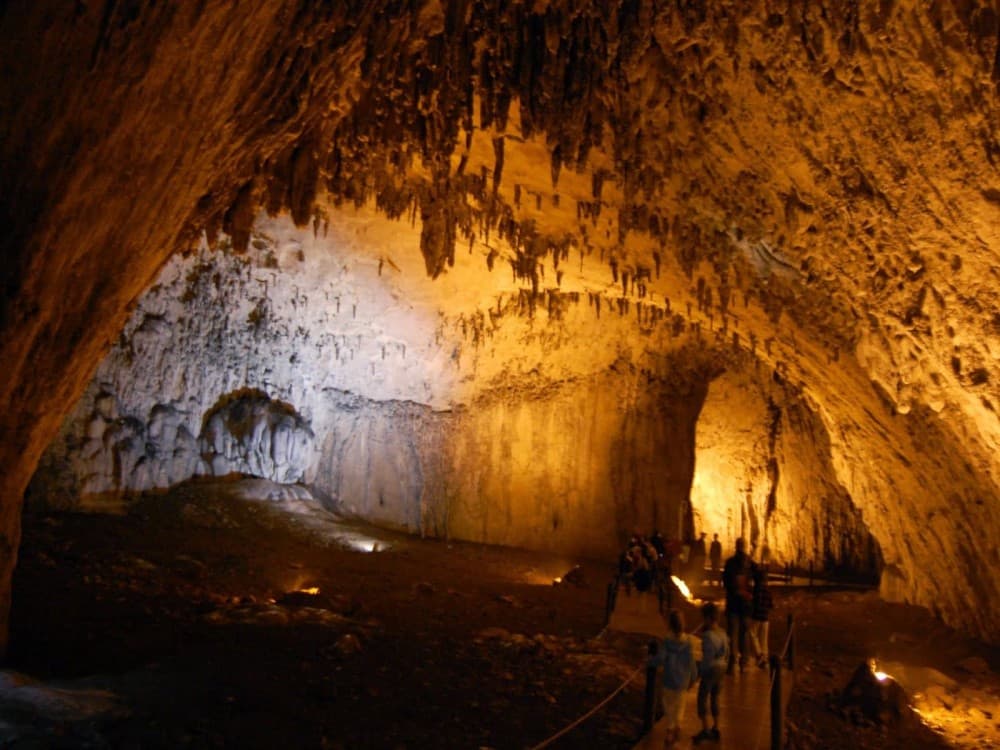 Vjetrenica Cave
