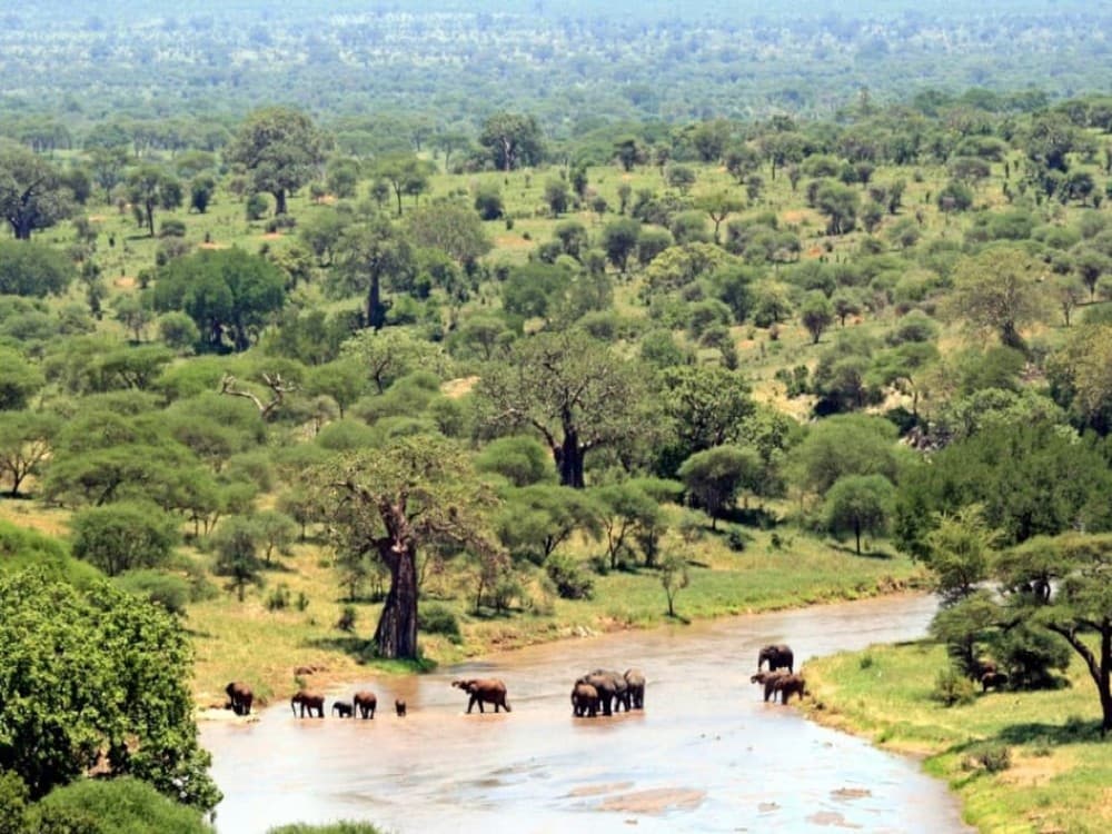Tarangire National Park