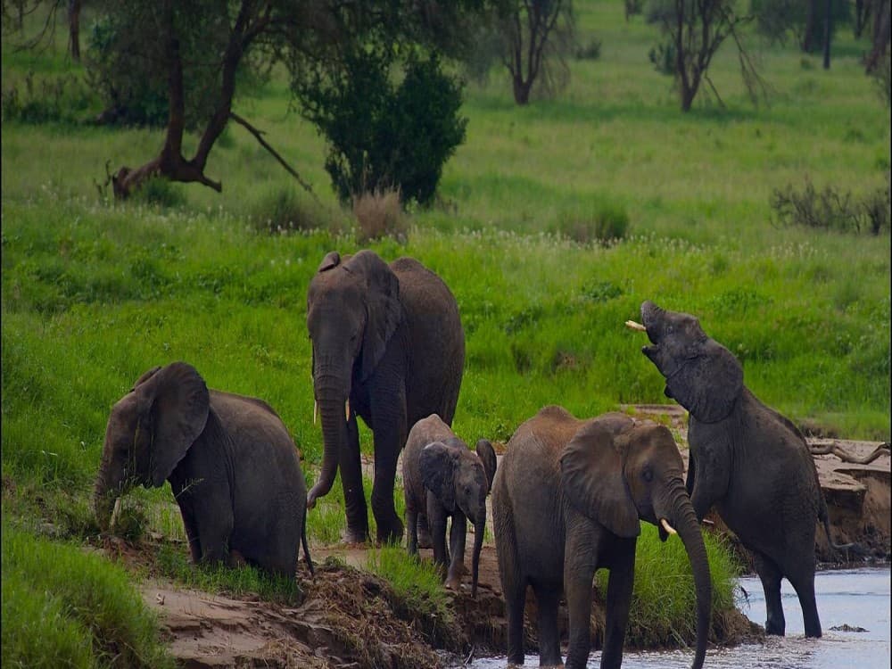 Tarangire National Park