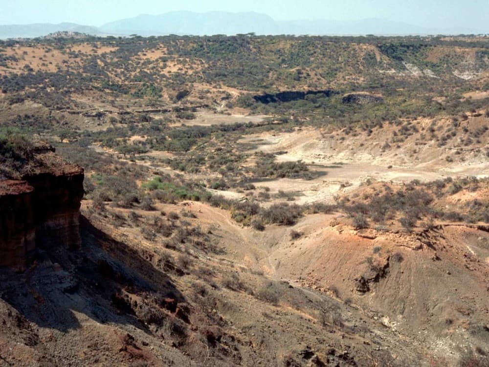 Olduvai Gorge
