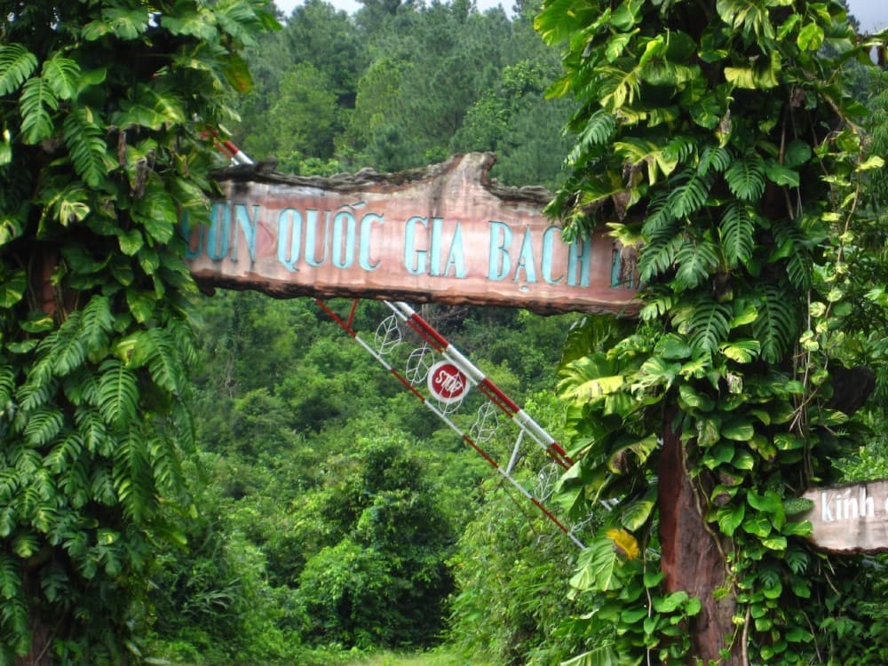 Bach Ma National Park
