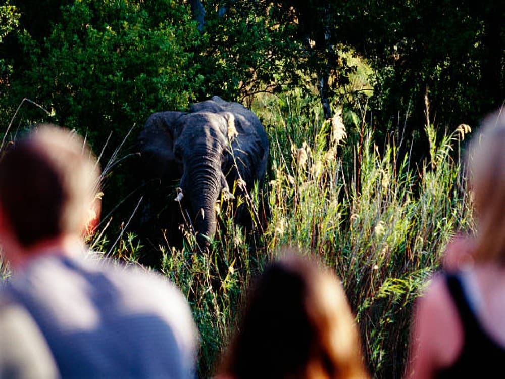 Victoria Falls National Park