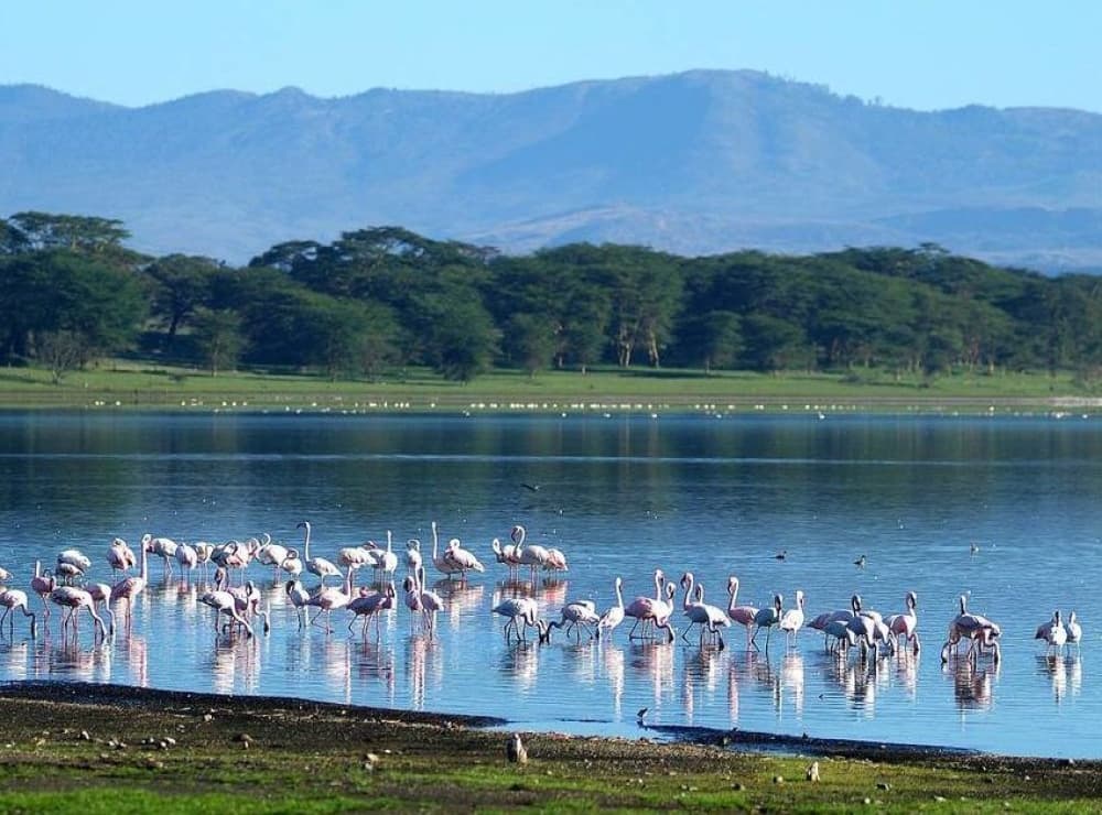 Lake Naivasha