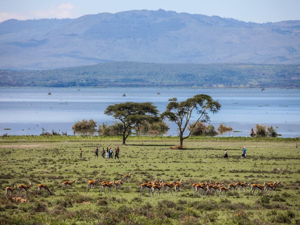 Lake Naivasha