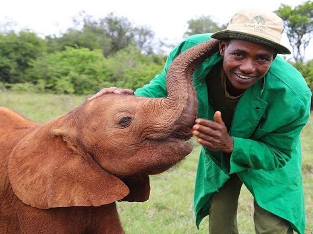Sheldrick Wildlife Trust