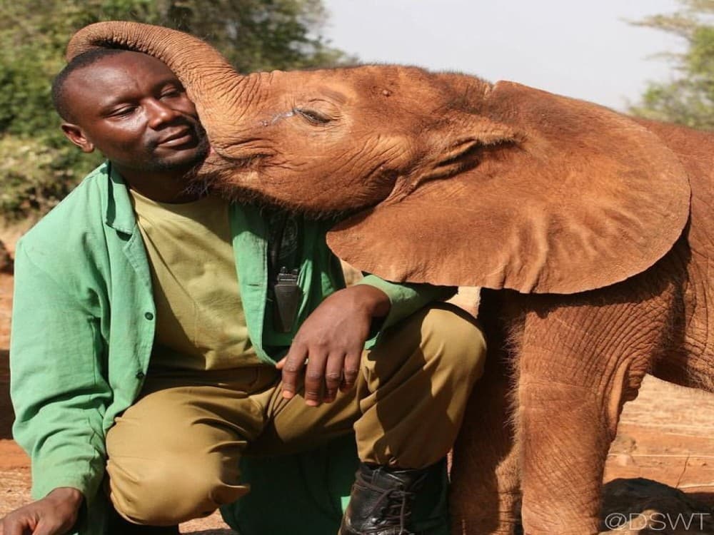 Sheldrick Wildlife Trust