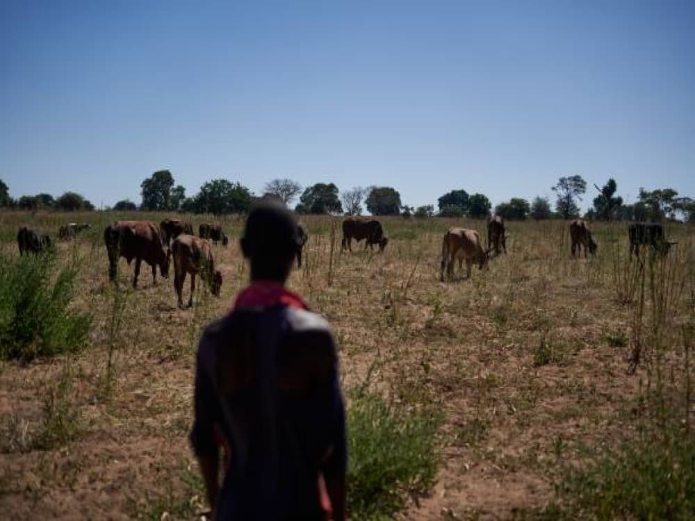 Hwange National Park