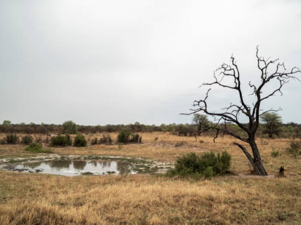 Hwange National Park