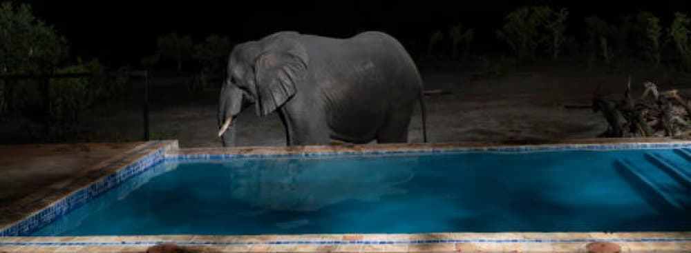 Hwange National Park