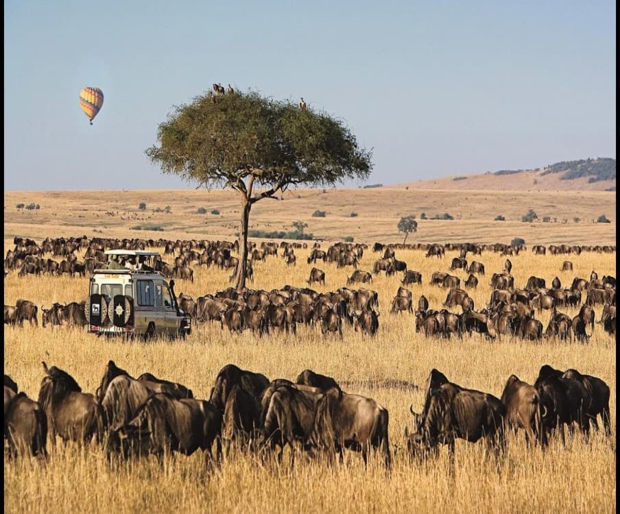 Masai Mara National Reserve 