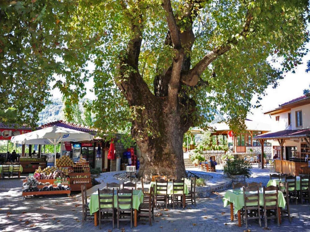 Turunç: Bayır Village | ®ExcursionMania