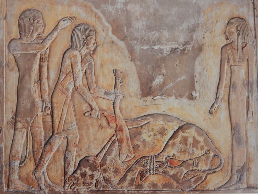 Tomb of Merneptah (Merenptah) 