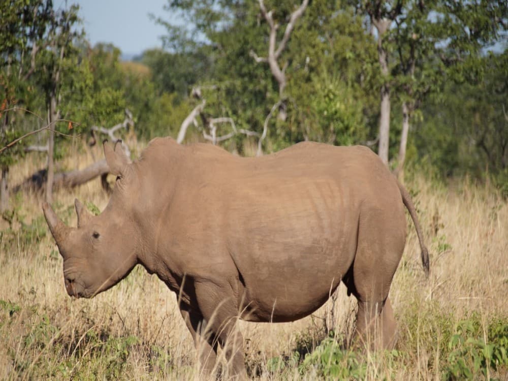 Mosi-oa-Tunya National Park