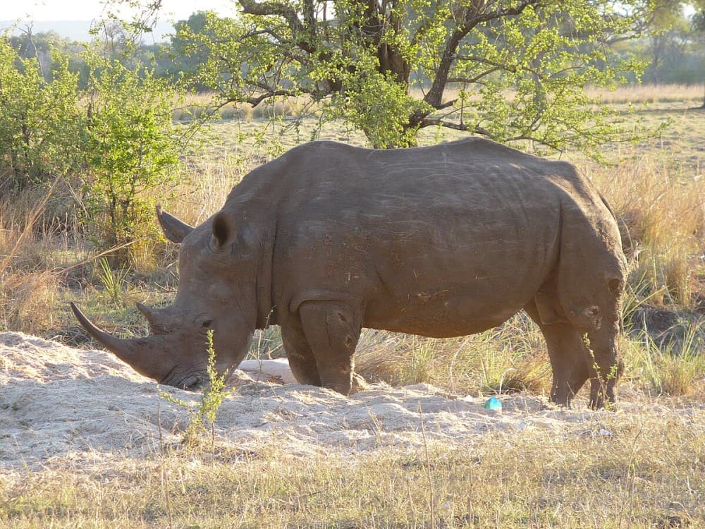 Mosi-oa-Tunya National Park