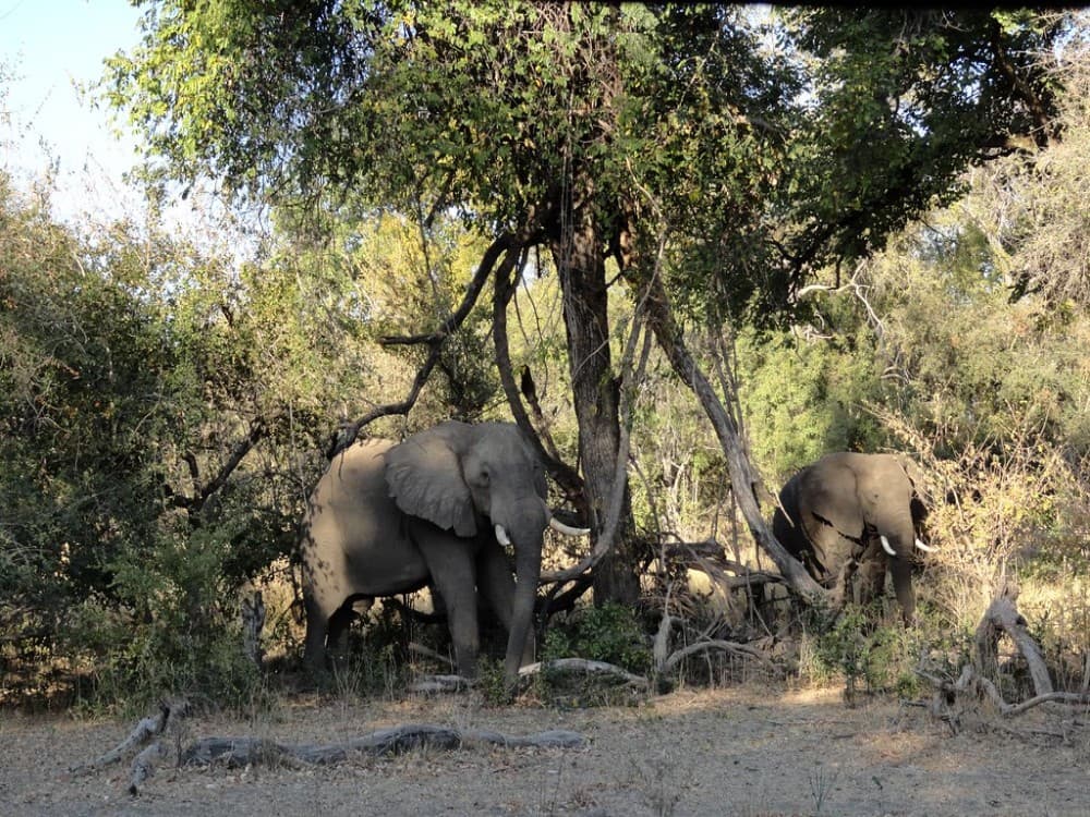 Mosi-oa-Tunya National Park