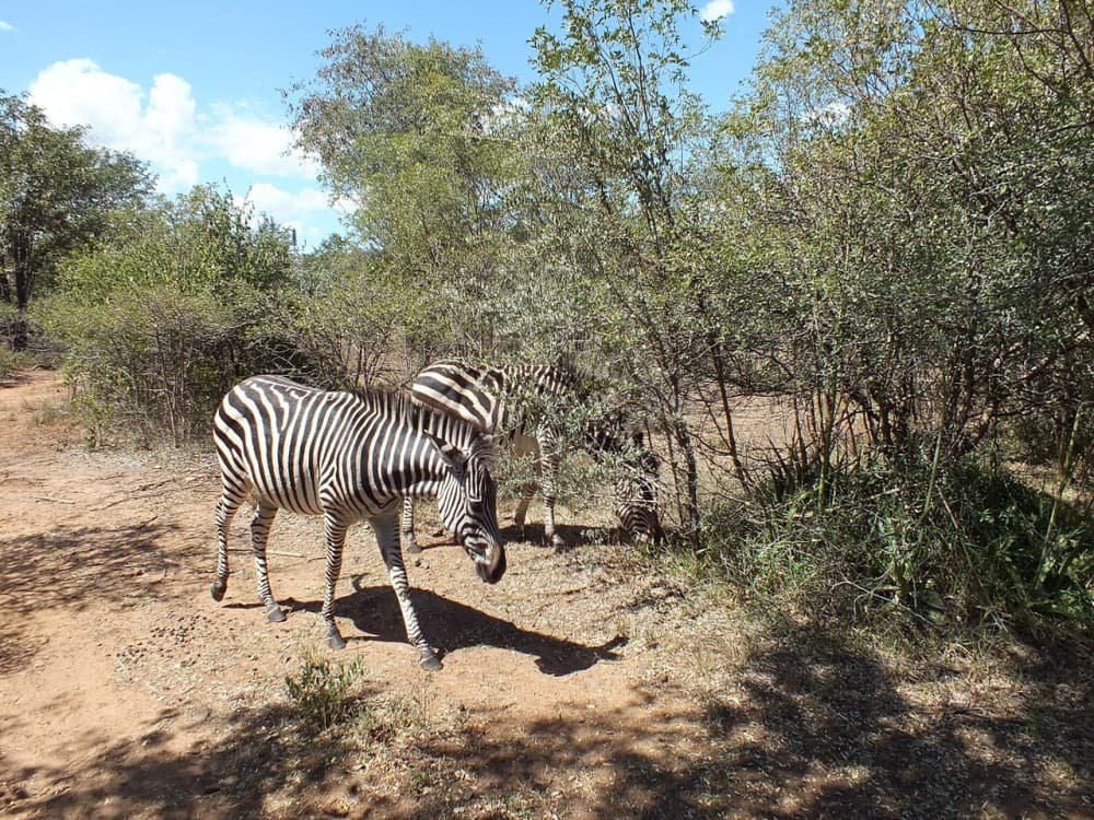 Mosi-oa-Tunya National Park