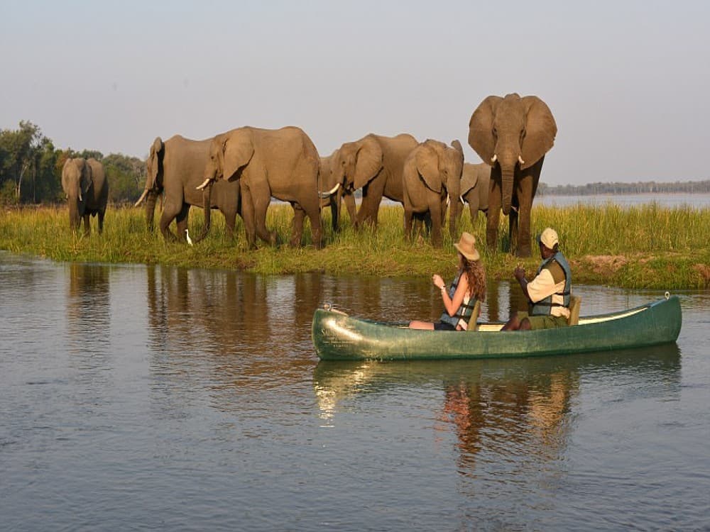 Lower Zambezi National Park